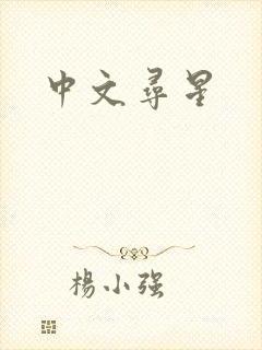 中文寻星