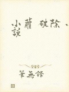 小萝 破除 小说
