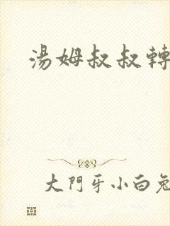 汤姆叔叔转接口