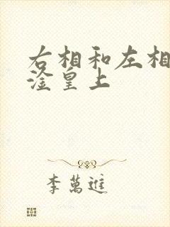 右相和左相一起淦皇上