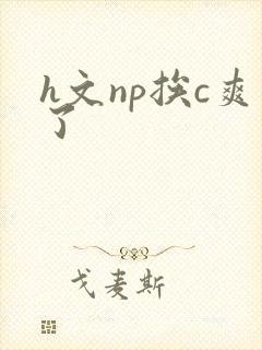h文np挨c爽了
