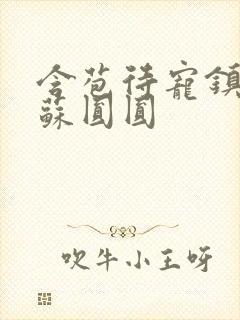 含苞待宠镇国公苏圆圆