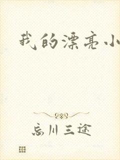 我的漂亮小后妈