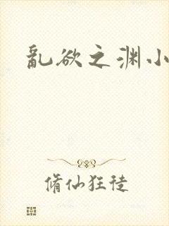 《乱欲之渊小说》小说封面