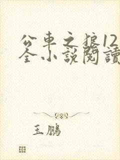 公车之狼12集全小说阅读