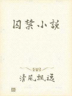 囚禁小说