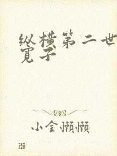 纵横第二世界 宽子