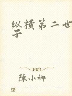 纵横第二世界宽子