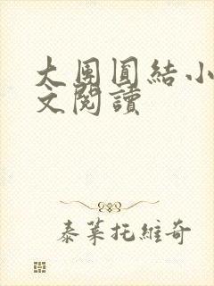 大团圆结小茹全文阅读