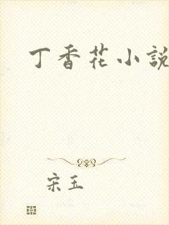 丁香花小说