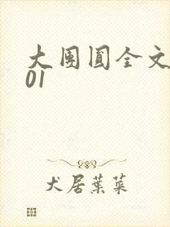 大团圆全文阅读01