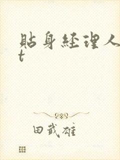 贴身经理人txt封面