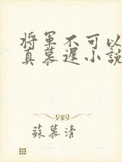 将军不可以魏云真慕迟小说笔趣阁