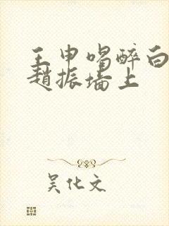 王申喝醉白洁被赵振墙上