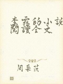 李霖的小说免费阅读全文