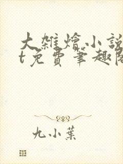 大杂烩小说txt免费笔趣阁封面