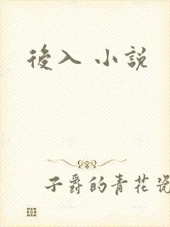 后入 小说