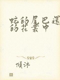 蛇的尾巴还在我的花丛中