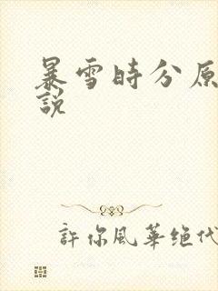 暴雪时分原著小说