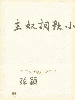 主奴调教小说封面