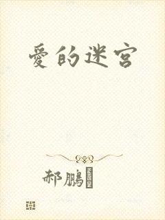 爱的迷宫