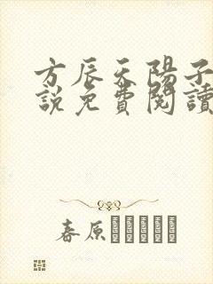 方辰天阳子的小说免费阅读