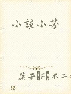小说小芳封面