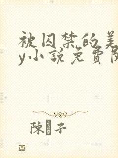 被囚禁的美人by小说免费阅读