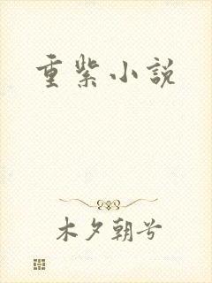 重紫小说