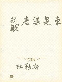 我老婆是东方不败