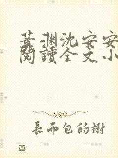 萧渊沈安安免费阅读全文小说