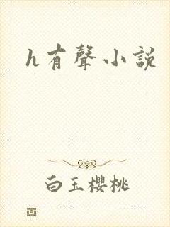 h有声小说