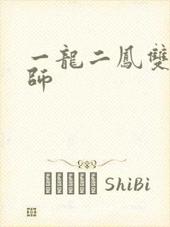 一龙二凤双飞老师