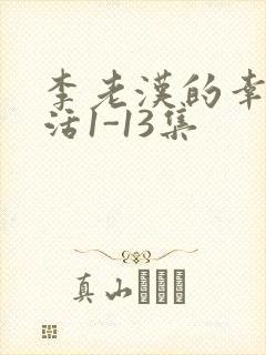 李老汉的幸福生活1-13集