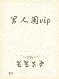 男人团vip