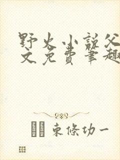 野火小说父女全文免费笔趣阁