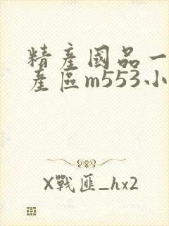 精产国品一二三产区m553小说封面