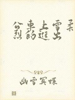 公车上雪柔被猛烈的进出