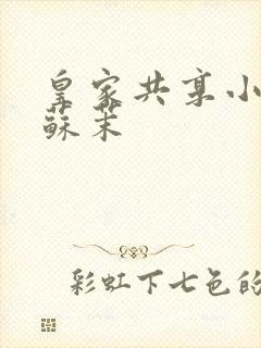 皇家共享小公主苏茉