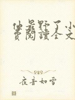 他最野了小说免费阅读全文