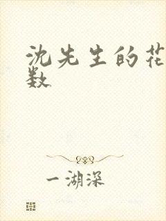 沈先生的花式调数