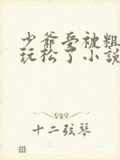 少爷受被粗汉H玩松了小说