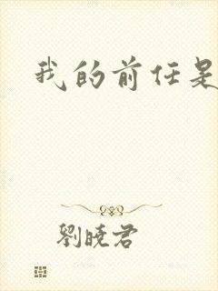 我的前任是极品