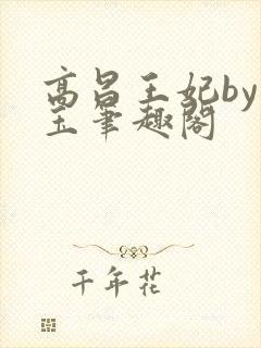 高昌王妃by黛玉笔趣阁