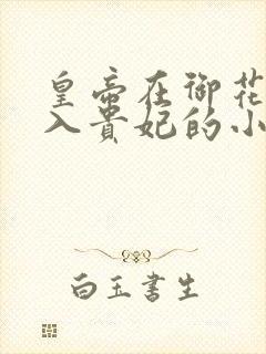 皇帝在御花园进入贵妃的小说