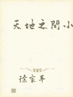 天地之间小说