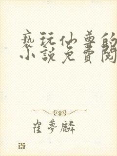 亵玩仙尊的道侣小说免费阅读