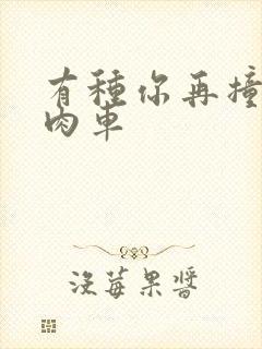 有种你再撞一下肉车