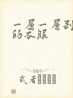 一层一层剥开你的衣服