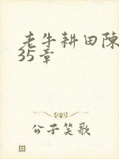 老牛耕田陈雪435章